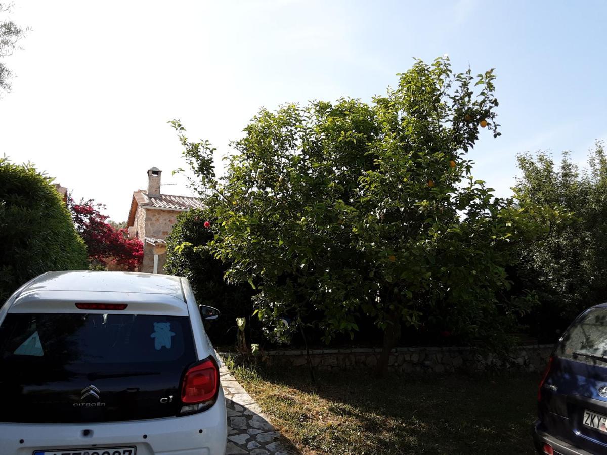 Villa Dioni Sivota (Lefkada)